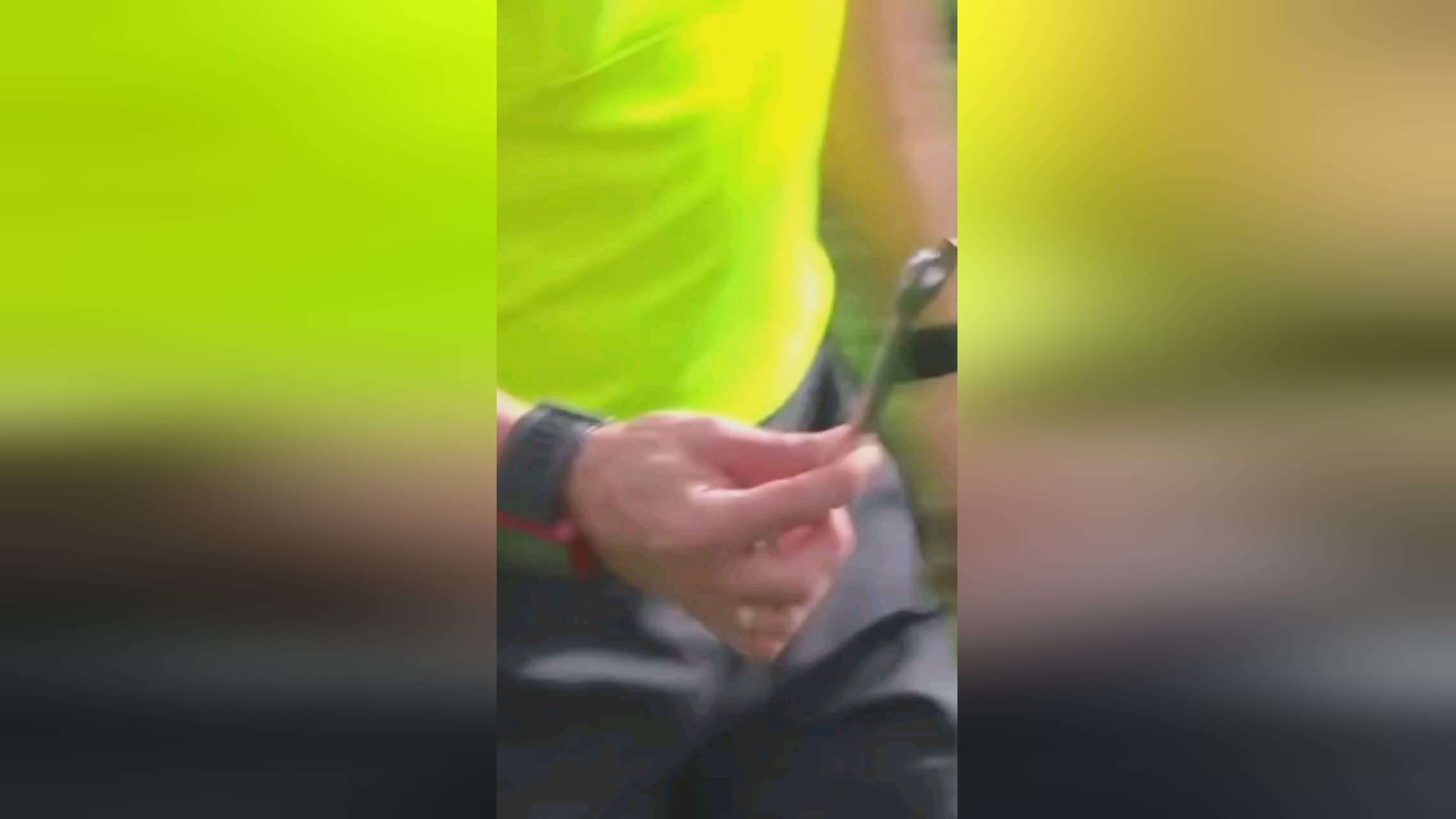理素