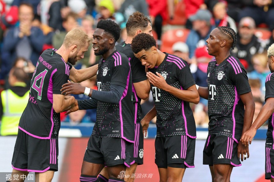 球迷对他们 球迷对他们